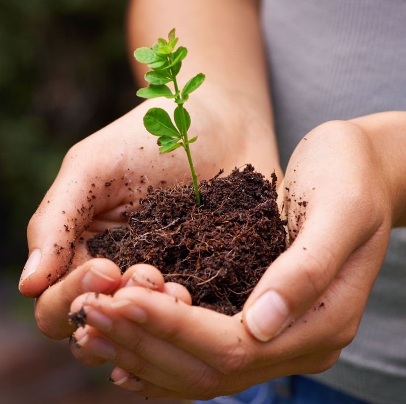 Környezetbarát energia és táplálék a földnek