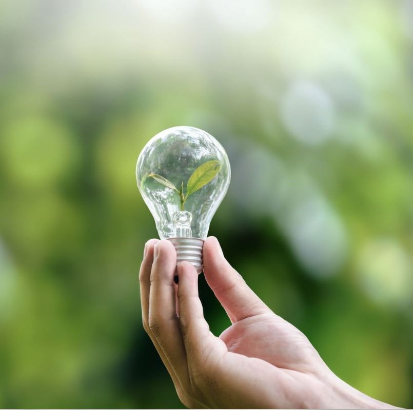 Zöld energia hulladékból